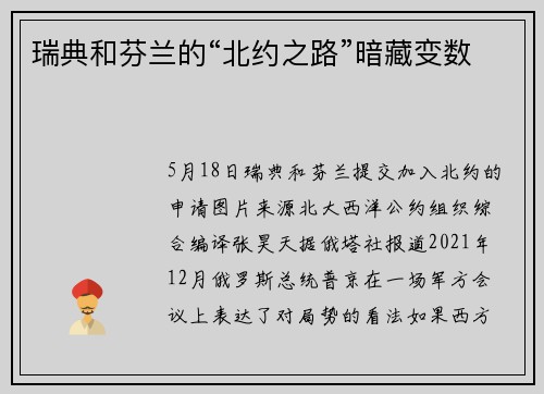 瑞典和芬兰的“北约之路”暗藏变数